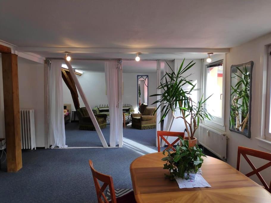 Grosse 130 M2 Gemuetliche Wohnung Im Herzen Tribergs Triberg im Schwarzwald Exterior photo