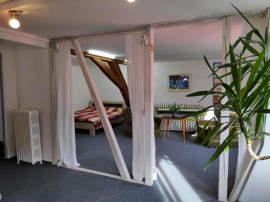 Grosse 130 M2 Gemuetliche Wohnung Im Herzen Tribergs Triberg im Schwarzwald Exterior photo